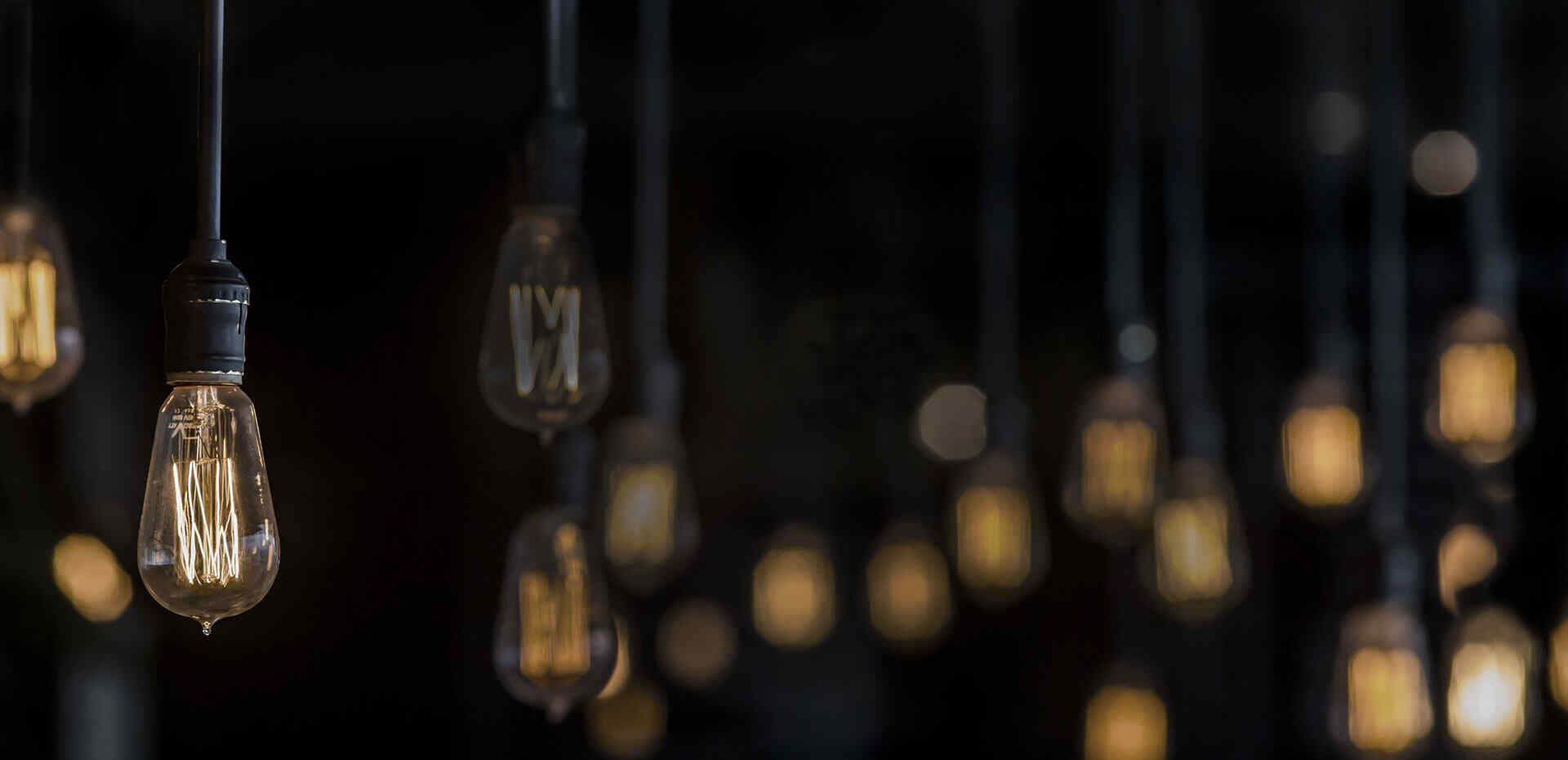 NUESTRO FOCO: BIENESTAR Y SALUD. LO QUE NOS POSICIONA COMO EL COMPLEMENTO IDEAL DE TU NUEVO MEJOR AMIGO