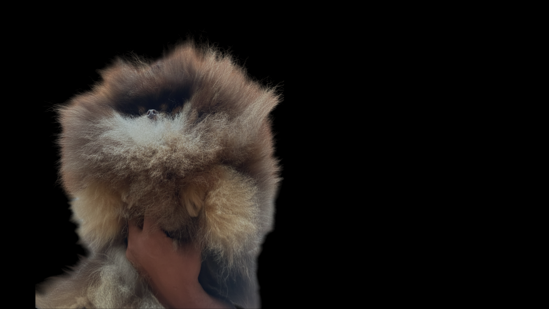 MAESTROS EN ELEVAR LA CALIDAD GENÉTICA A OTRO NIVEL